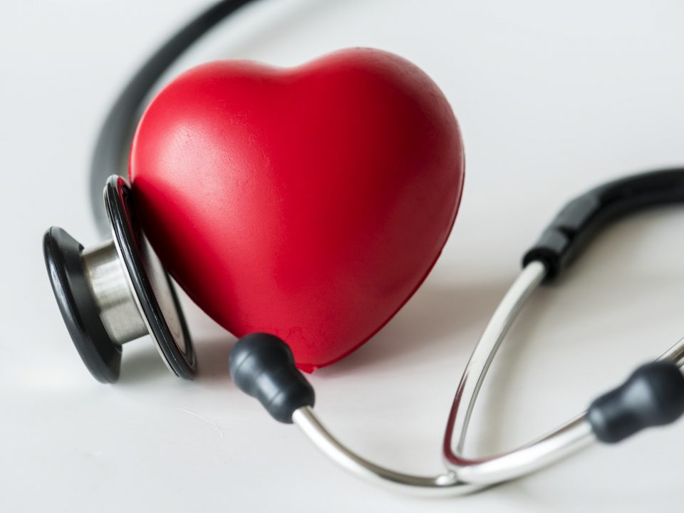 Closeup of heart and a stethoscope cardiovascular checkup concept